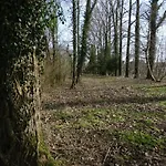 Le De L'aa Renty